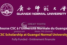 scholarship in china
